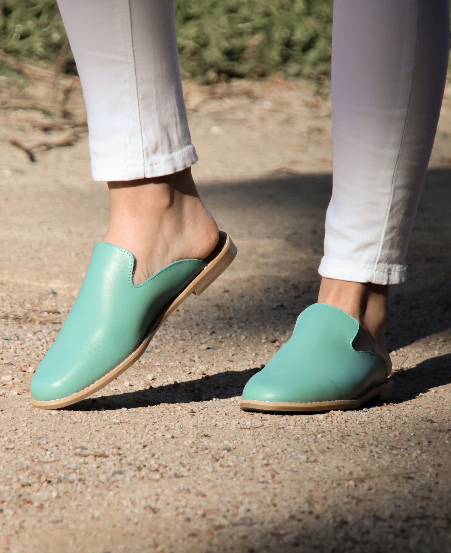 Aldora Solana Mule