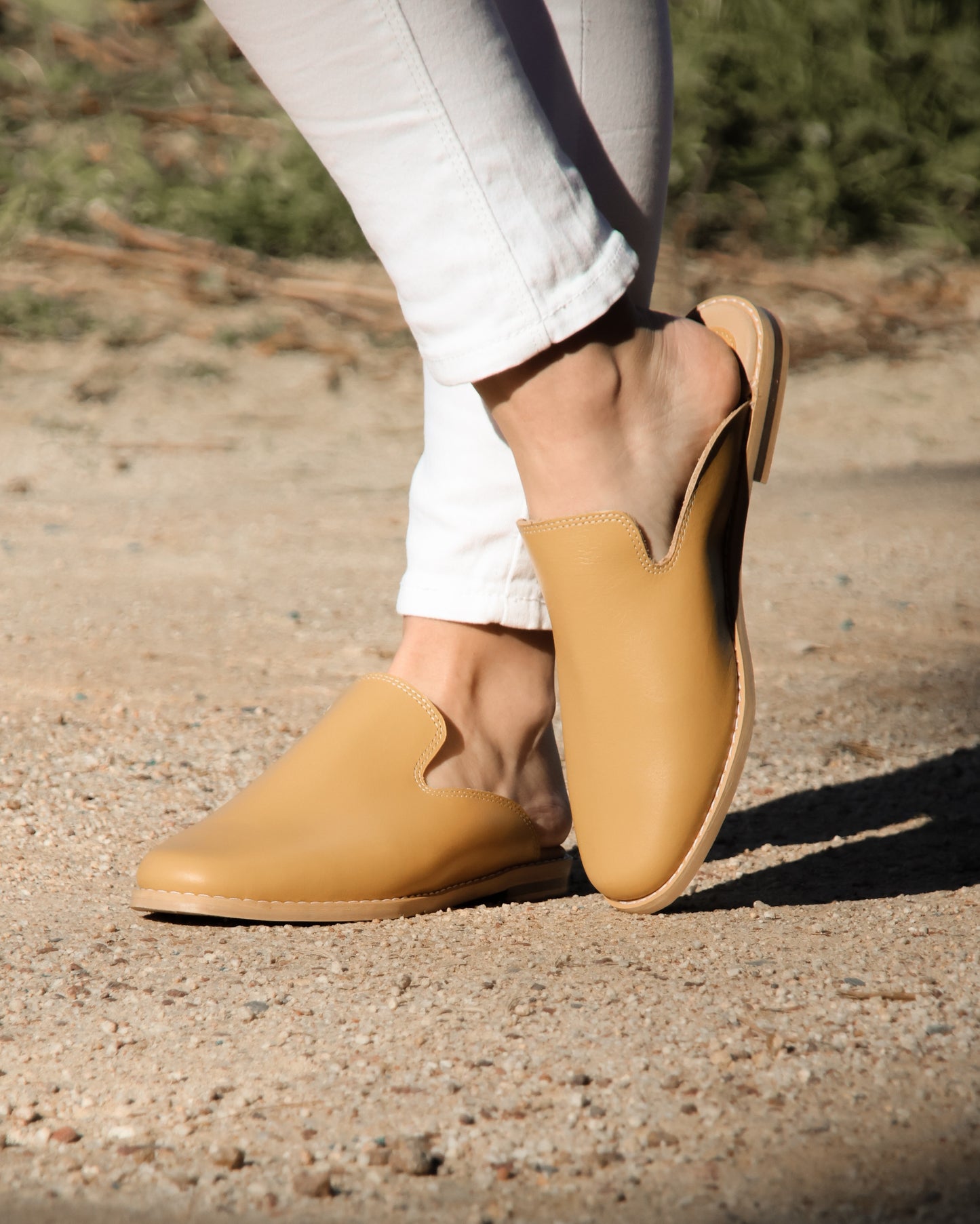 Aldora Solana Mule