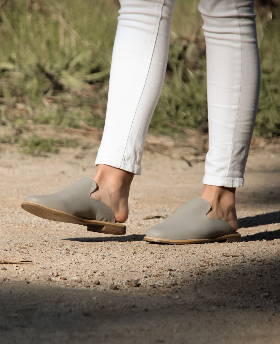 Aldora Solana Mule