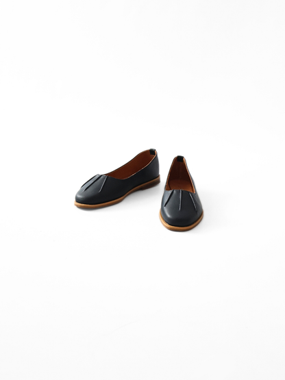 Rochè Pump